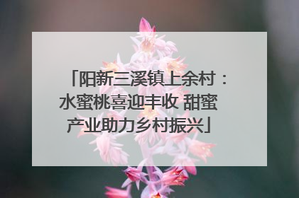 阳新三溪镇上余村：水蜜桃喜迎丰收 甜蜜产业助力乡村振兴