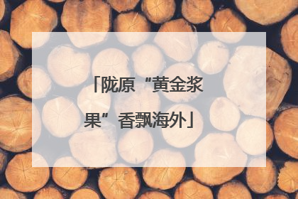 陇原“黄金浆果”香飘海外