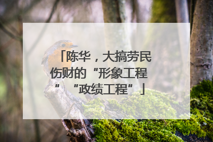 陈华，大搞劳民伤财的“形象工程”“政绩工程”