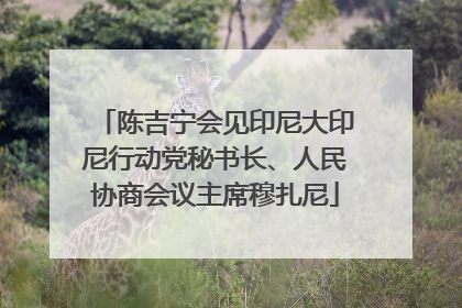 陈吉宁会见印尼大印尼行动党秘书长、人民协商会议主席穆扎尼