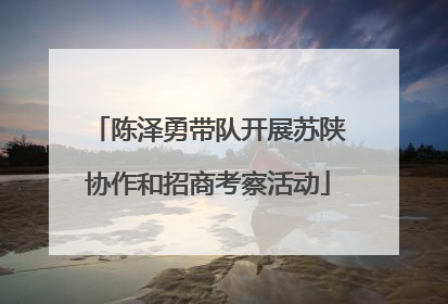 陈泽勇带队开展苏陕协作和招商考察活动