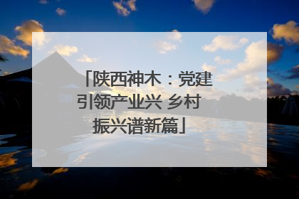 陕西神木：党建引领产业兴 乡村振兴谱新篇