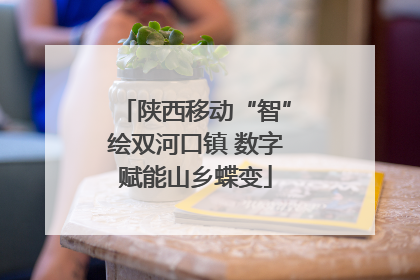 陕西移动“智”绘双河口镇 数字赋能山乡蝶变