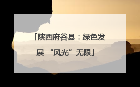 陕西府谷县：绿色发展 “风光”无限