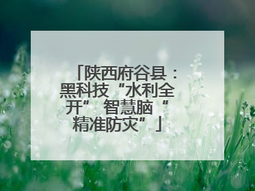 陕西府谷县：黑科技“水利全开” 智慧脑“精准防灾”