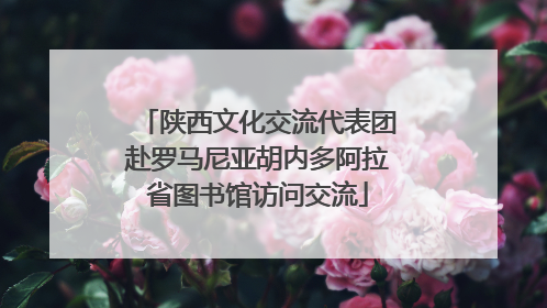 陕西文化交流代表团赴罗马尼亚胡内多阿拉省图书馆访问交流