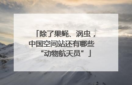 除了果蝇、涡虫，中国空间站还有哪些“动物航天员”