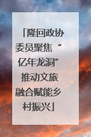 隆回政协委员聚焦“亿年龙洞” 推动文旅融合赋能乡村振兴