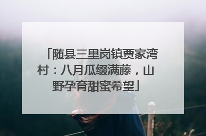 随县三里岗镇贾家湾村：八月瓜缀满藤，山野孕育甜蜜希望