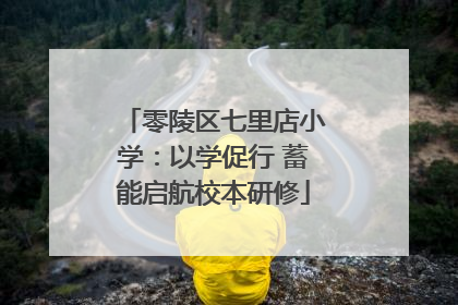 零陵区七里店小学：以学促行 蓄能启航校本研修