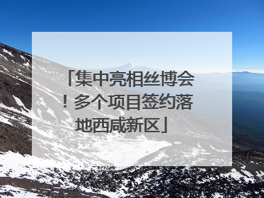 集中亮相丝博会！多个项目签约落地西咸新区