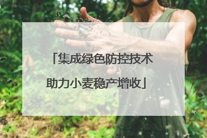集成绿色防控技术助力小麦稳产增收