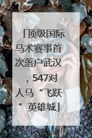 顶级国际马术赛事首次落户武汉，547对人马“飞跃”英雄城