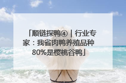 顺链探鸭④｜行业专家：我省肉鸭养殖品种80%是樱桃谷鸭