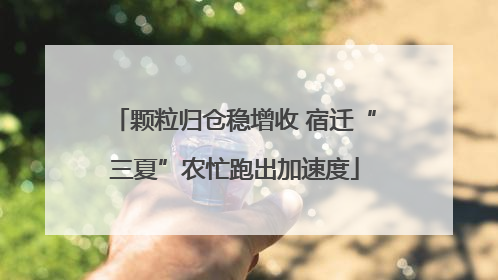 颗粒归仓稳增收 宿迁“三夏”农忙跑出加速度