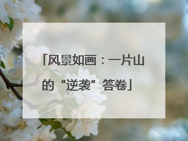 风景如画：一片山的“逆袭”答卷