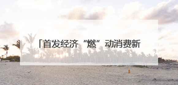 首发经济“燃”动消费新引擎 泰安市举办首店经济项目品牌入驻推进会