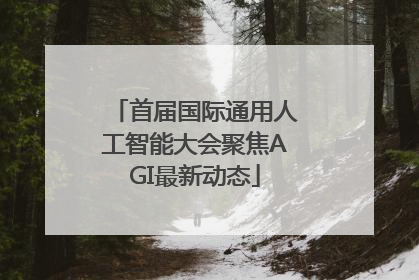 首届国际通用人工智能大会聚焦AGI最新动态