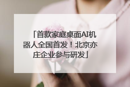 首款家庭桌面AI机器人全国首发！北京亦庄企业参与研发