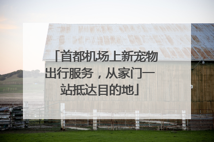 首都机场上新宠物出行服务，从家门一站抵达目的地