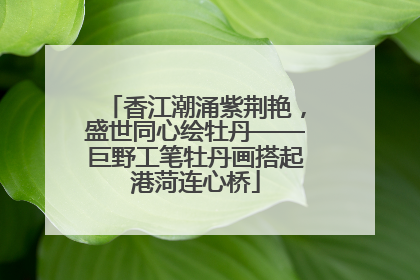 香江潮涌紫荆艳，盛世同心绘牡丹——巨野工笔牡丹画搭起港菏连心桥