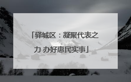 驿城区：凝聚代表之力 办好惠民实事
