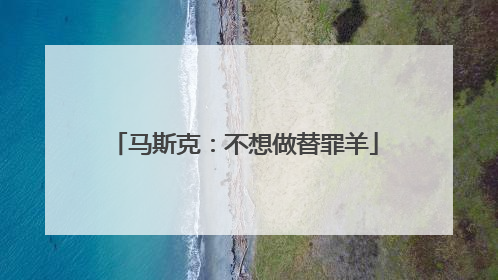 马斯克：不想做替罪羊