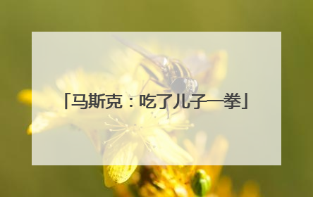 马斯克：吃了儿子一拳