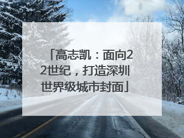 高志凯：面向22世纪，打造深圳世界级城市封面