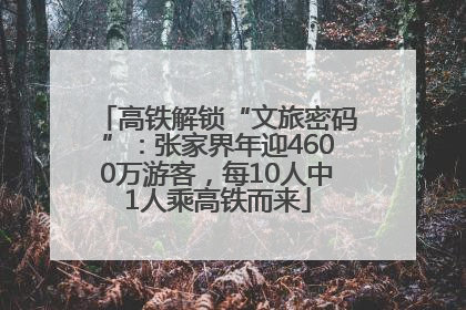 高铁解锁“文旅密码”：张家界年迎4600万游客，每10人中1人乘高铁而来