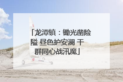 龙潭镇：锄光凿险隘 昼色护安澜 干群同心战汛魔