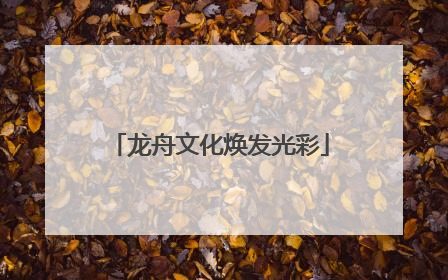 龙舟文化焕发光彩