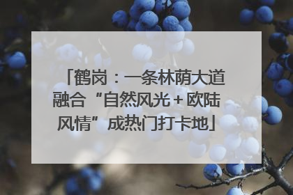 鹤岗：一条林荫大道融合“自然风光＋欧陆风情”成热门打卡地