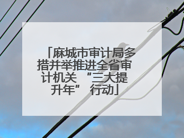 麻城市审计局多措并举推进全省审计机关 “三大提升年” 行动