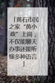 黄石市民之家“黄小政”上岗，不仅能聊天办事还能听懂多种语言