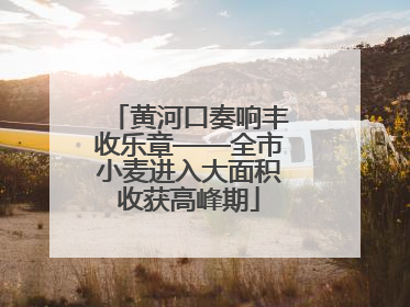 黄河口奏响丰收乐章——全市小麦进入大面积收获高峰期