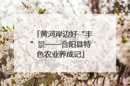 黄河岸边好“丰”景——合阳县特色农业养成记