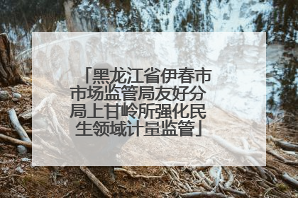 黑龙江省伊春市市场监管局友好分局上甘岭所强化民生领域计量监管