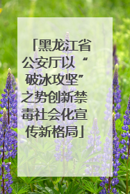 黑龙江省公安厅以“破冰攻坚”之势创新禁毒社会化宣传新格局