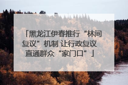 黑龙江伊春推行“林间复议”机制 让行政复议直通群众“家门口”