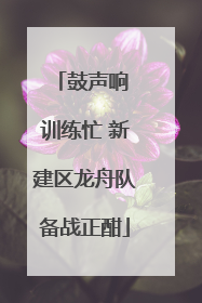 鼓声响 训练忙 新建区龙舟队备战正酣