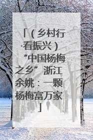 （乡村行·看振兴）“中国杨梅之乡”浙江余姚：一颗杨梅富万家