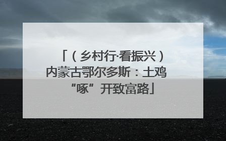 （乡村行·看振兴）内蒙古鄂尔多斯：土鸡“啄”开致富路