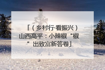 （乡村行·看振兴）山西高平：小辣椒“椒”出致富新答卷