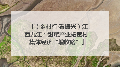 （乡村行·看振兴）江西九江：甜蜜产业拓宽村集体经济“增收路”