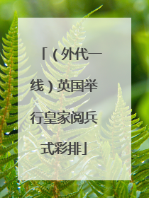（外代一线）英国举行皇家阅兵式彩排