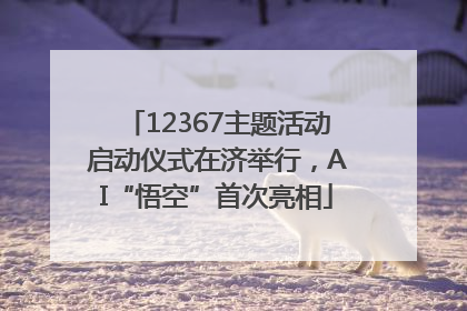 12367主题活动启动仪式在济举行，AI“悟空”首次亮相