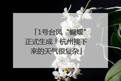 1号台风“蝴蝶”正式生成！杭州接下来的天气很复杂