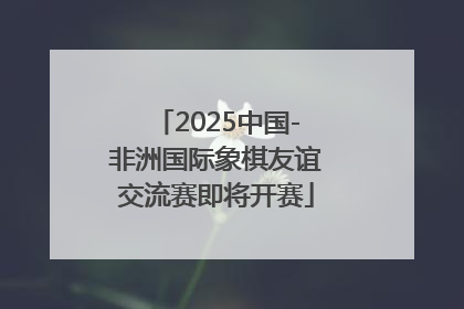 2025中国-非洲国际象棋友谊交流赛即将开赛