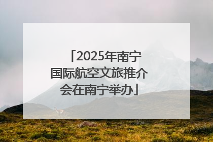 2025年南宁国际航空文旅推介会在南宁举办